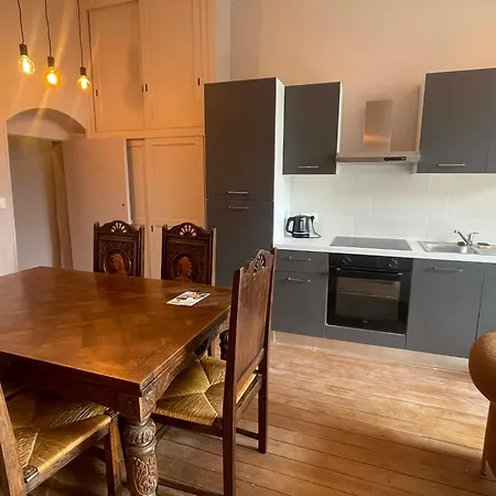 Le Louis D'or Apartment